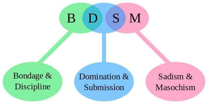 Define Bdsm 7